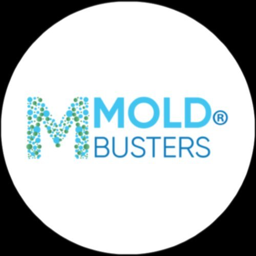 MOLD BUSTERS